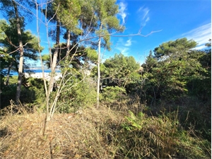 terrain à la vente -   34200  SETE, surface 1419 m2 vente terrain - UBI473003054